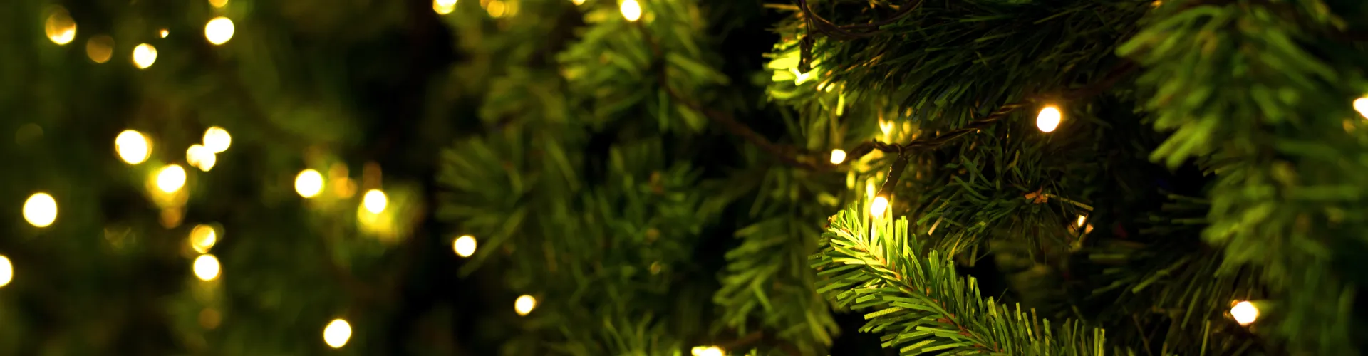 kerstboom