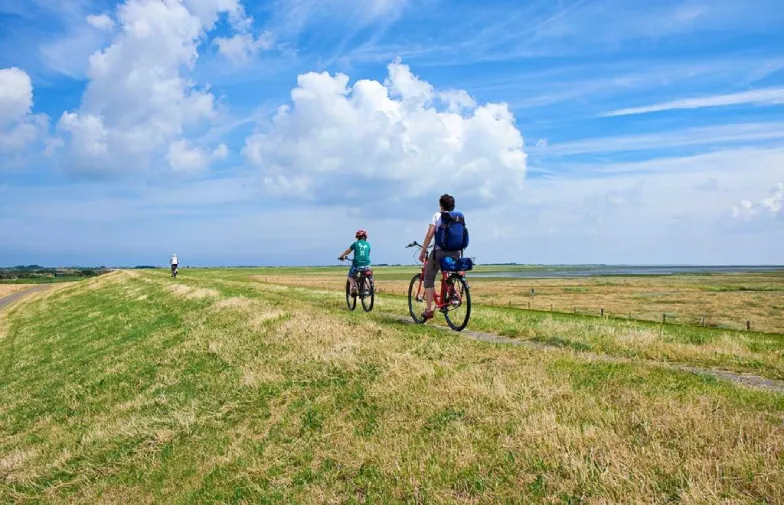 Fietsen in de natuur